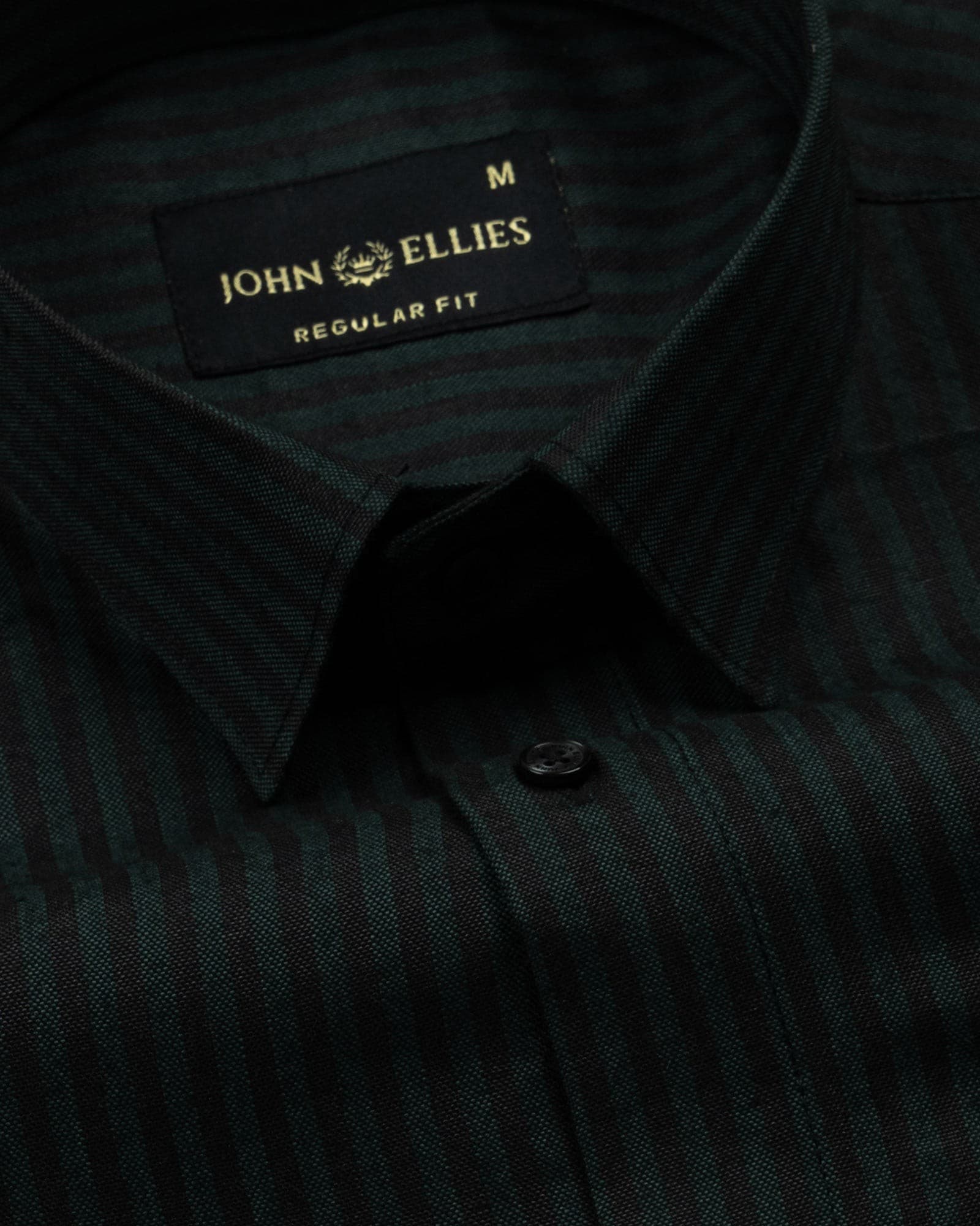 Destiny Green Stripes Oxford Cotton Shirt